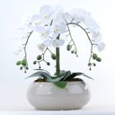 Ver imagem 1 de Arranjo de Orquídeas Brancas de Silicone em Vaso Nude