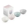 Set de 4 Mini Bowls 180 ml de Cerâmica Calm Collection Le Creuset - 2