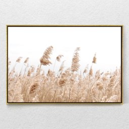 Quadro Decorativo Capim Rabo de Raposa Com Moldura e Sem Vidro 100X160 - 1