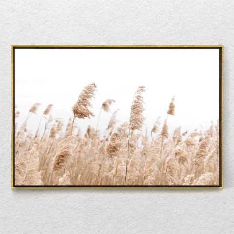 Quadro Decorativo Capim Rabo de Raposa Com Moldura e Sem Vidro 100X160
