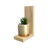 Suporte Organizador Decoração Mini Plantas Suculentas 20X15 - 1
