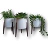 Kit Com 3 Vasos Com Pé Modelo Retro Para Suculentas Plantas - 3
