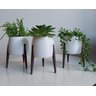 Kit Com 3 Vasos Com Pé Modelo Retro Para Suculentas Plantas - 4