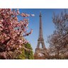 Papel De Parede Cidade Paris Torre Eiffel 3D 6M² Ncd217 - 2
