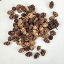 Ver imagem 3 de Mini Pinha Marrom Pacote 100g Enfeite de Natal