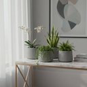 Ver imagem 2 de Kit 4 Vasos Decorativos para Flor 8,5cm Pequenos Tramontina Lótus Polietileno Granito Pedra