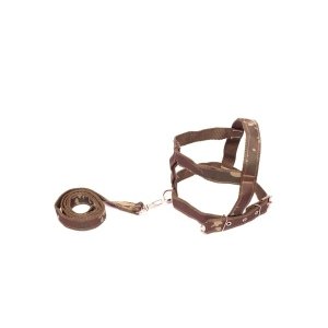Kit Guia com Peitoral 25mm Camuflado Tamanho 6 (53cm a 70cm)