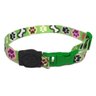 Coleira seda estampa patinhas/ossinhos verde tamanho único - 1