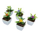 Ver imagem 5 de Kit 10 Mini Vasos Decorativos Quadrado