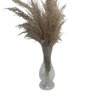 Vaso Transparente De Vidro Com Planta Seca Capim Dos Pampas - 2