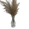 Vaso Transparente De Vidro Com Planta Seca Capim Dos Pampas - 4