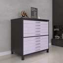 Ver imagem 1 de Mapoteca 10 Gavetas 120,4cm x 122,3cm Aço Preto/Lilas