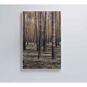 QUADRO EUCALIPTOS Decor&Quadros NAT041