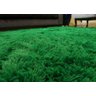 Tapete Sala Peludo Felpudo Luxo Fofo 3,80 x 5,00 Metros Verde - 3