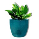 Ver imagem 4 de Vaso Agata 42 (33l) Cor Verde Vietnamita Japi