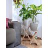 Kit Suportes de Madeira, Decoração com Plantas, Vasos Sv5 - 2