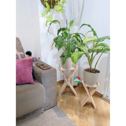 Kit Suportes de Madeira, Decoração com Plantas, Vasos Sv5 - 4