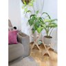 Kit Suportes de Madeira, Decoração com Plantas, Vasos Sv5 - 4