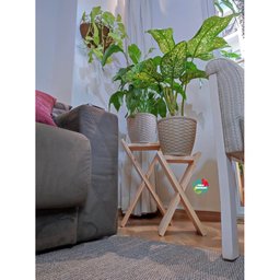 Kit Suportes de Madeira, Decoração com Plantas, Vasos Sv5 - 6
