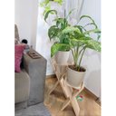 Ver imagem 3 de Kit Suportes de Madeira, Decoração com Plantas, Vasos Sv5