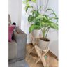 Kit Suportes de Madeira, Decoração com Plantas, Vasos Sv5 - 3