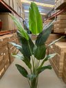 Ver imagem 3 de Bananeira Artificial para Decoração Árvore Real Toque com 2.20m, Planta Decorativa para Casa/eventos