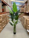 Ver imagem 7 de Bananeira Artificial para Decoração Árvore Real Toque com 2.20m, Planta Decorativa para Casa/eventos