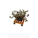 Ver imagem 4 de Suporte para Botijão de Gás Cor Mel