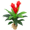 Ver imagem 1 de Planta Realista com Flores Bromelia 3 Flores 80cm Sala Decor