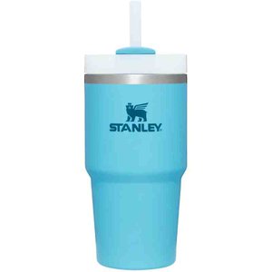 Copo Quencher 591 Ml Pool Stanley