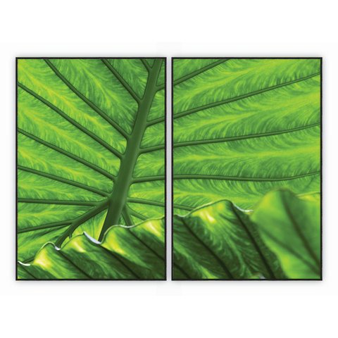 kit com 2 Quadros Decorativos Florais com Moldura e Vidro para Sala Quarto Escritório e Clínica 82x1