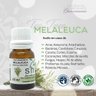 Óleo Essencial de Melaleuca 100% Puro Shin 100ml - 2