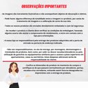 Ver imagem 4 de Maca de Estética para Massagem Cílios Fixa Lash Estofada com Escada Veludo Cinza G83 - Gran Belo Mac
