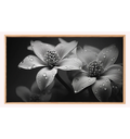 Ver imagem 2 de Quadro Decorativo N°175 115x70cm - Panorâmico Botânico - Flores e Gotas Orvalho Preto e Branco - Rol