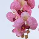 Ver imagem 2 de Arranjo de Orquídeas Artificiais Rosa em Vaso Branco Fosco