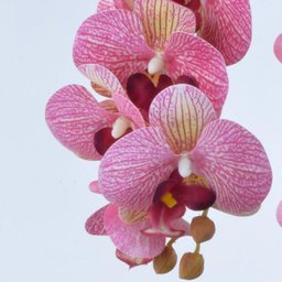 Arranjo de Orquídeas Artificiais Rosa em Vaso Branco Fosco - 2