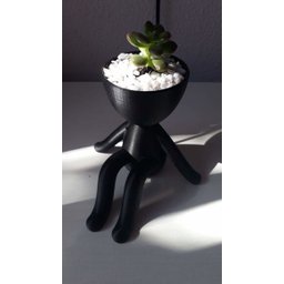 Vaso Decorativo - Robert Plant - Perna Dobrada - Impresso em 3D - 2