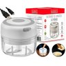 Mini Triturador Eletrico ALHO Cebola sem Fio USB Processador Hauskraft - 1