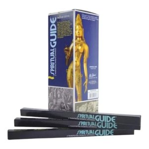 Incenso Padmini Spiritual Guide 25 Unidades com 8 Varetas