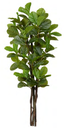 Ver imagem 1 de Planta Árvore Artificial Ficus Lyrata Real Toque X114 Verde 1,85m