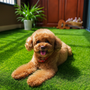 Ver imagem 3 de Grama Sintética Artificial 20mm com Proteção Uv e Anti-fungo 2,00 X 3,00m (6m²)