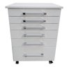 Gaveteiro Auxiliar Odontológico com 6 Gavetas Branco - Ds Móveis - 1