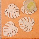 Ver imagem 2 de Porta Copos Monstera - 4 Pçs