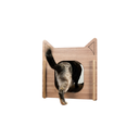 Ver imagem 3 de Toca para Gatos Interativa Playground Madeirada