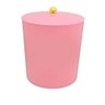 Lixeira com Tampa para Banheiro Cozinha 5litros Haus Rosa - 1