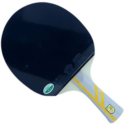 Raquete Ping Pong 4 Estrelas Tenis de Mesa Profissional Equilibrada Confortavel Versatil Esporte Rec