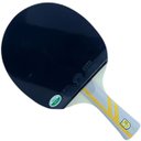 Ver imagem 1 de Raquete Ping Pong 4 Estrelas Tenis de Mesa Profissional Equilibrada Confortavel Versatil Esporte Rec