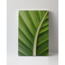 Ver imagem 1 de Tela em Canvas 101