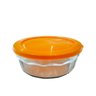 Tigela Laguna 1,5l com Tampa de Plástico Ø20 Cm - Vitazza - 1