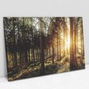 Ver imagem 1 de Quadro Decorativo em Canvas A Natureza na Luz do Sol - Moldura Madeira - 120 x 80cm